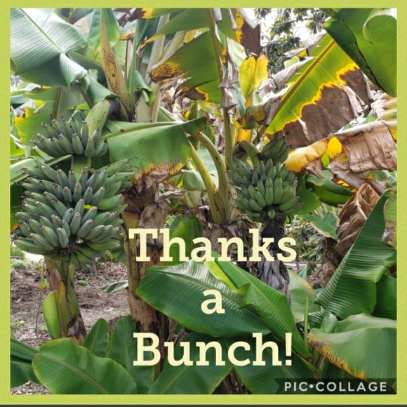 ❤️ - Picture 5 of 5